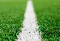 White line on a green soccer field illustrating the Football Euro Cup