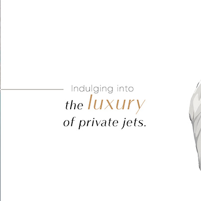 Luxury Of Private Jets Lunajets
