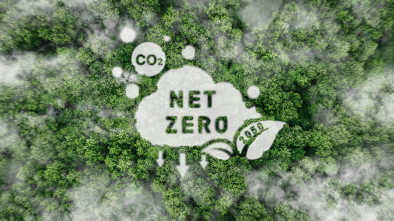 Forest with text: zero net CO2 emissions by 2050.